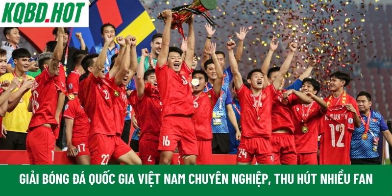 Giải bóng đá Quốc gia Việt Nam