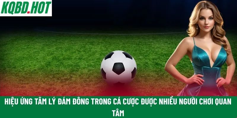 Hiệu ứng tâm lý đám đông trong cá cược được nhiều người chơi quan tâm